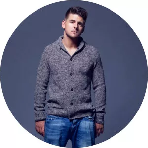 Dino Mileta - Musical artist