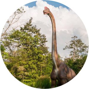 dino park costa rica - Amusement park in Costa Rica