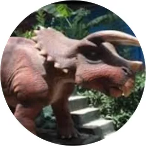 Dinopark Antalya - 