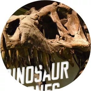 Dinosaur Bones photograph