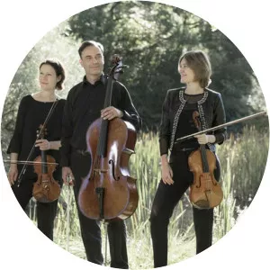 Diogenes Quartet - Musical quartet