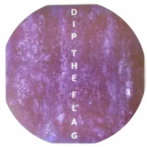 Dip the Flag