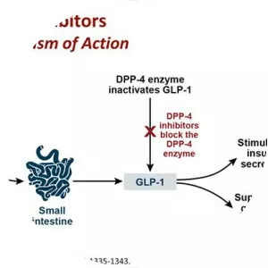 Dipeptidyl peptidase-4 - Protein