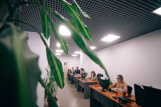 Direkt Layn, Agentstvo Internet-Marketinga