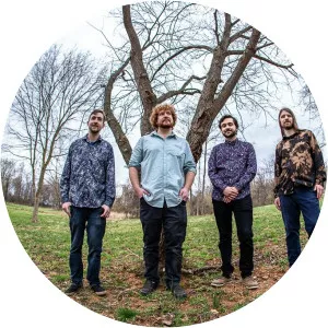 Dirty Grass Players - Musical artist