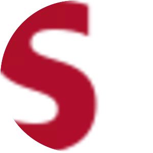 DIS Deutscher Industrie Service