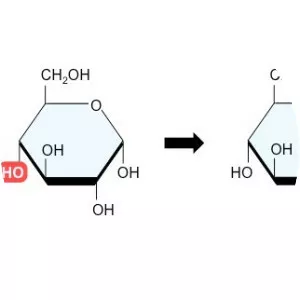 Disaccharide - 