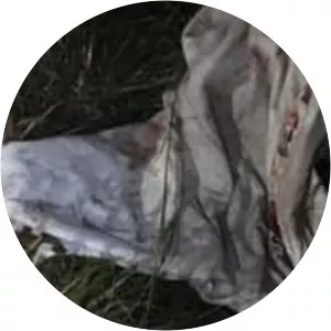 Disappearance of Evelyn Hartley