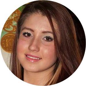 Disappearance of Heather Elvis