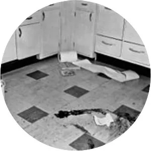 Disappearance of Joan Risch