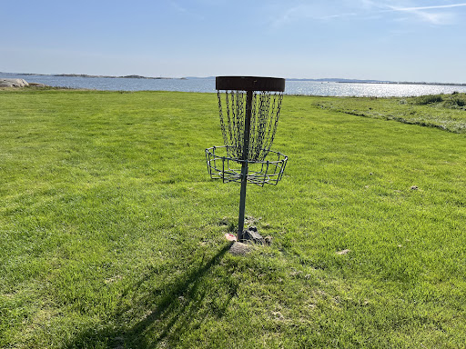 Disc golf practice basket