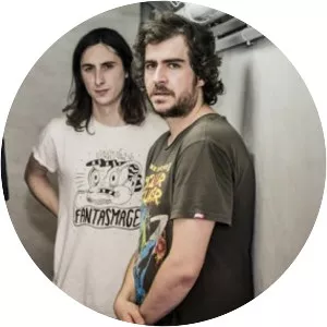 Disco las Palmeras! - Musical group