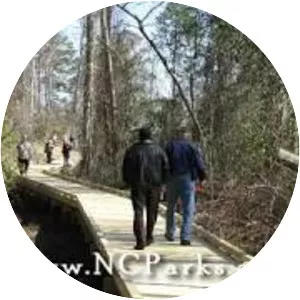 Dismal Swamp State Park - 