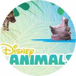 Disney AnimalsSince 2018