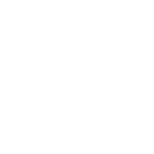 Disney Vacation Club