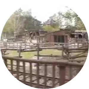 Disneyland Railroad - Main Street U. S. A. Station - 