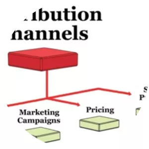 Distribution - Organization type