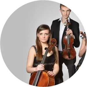 Diverso String Quartet - Musical artist