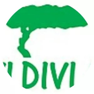 Divi Divi Air