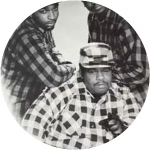 Divine Sounds - Musical group