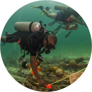 Diving With a Purpose