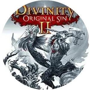 Divinity: Original Sin II - Video game