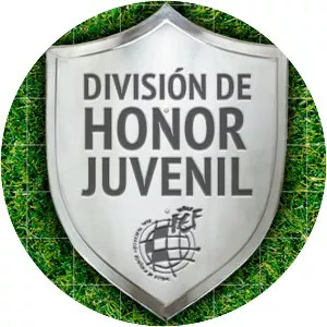 División de Honor Juvenil de Fútbol