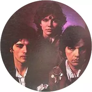 Divlji Anđeli (Дивљи анђели)