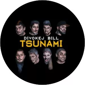 Divokej Bill - Rock band