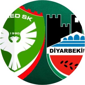 Diyarbekirspor