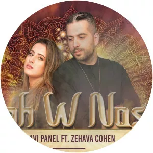 Dj Avi Panel - Musical artist