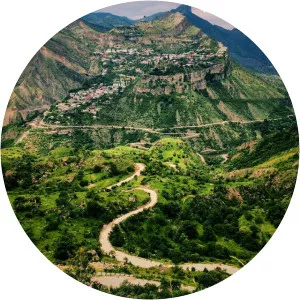 Dj Chechen - Musical artist