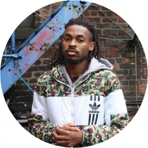 DJ Danifox - Musical artist