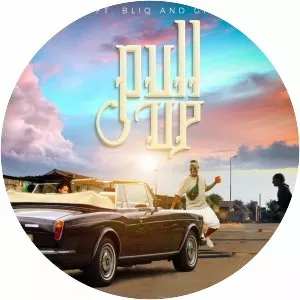 DJ FANATIC - Musical artist