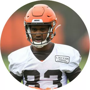 DJ Montgomery - American football wide receiver