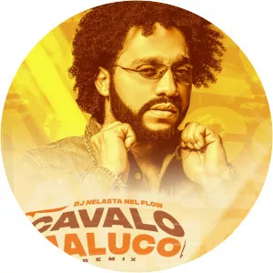 DJ Nelasta Nel Flow - Musical artist