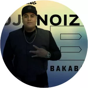 DJ NOIZ - Musical artist