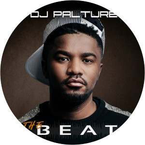 DJ Palture - Musical artist
