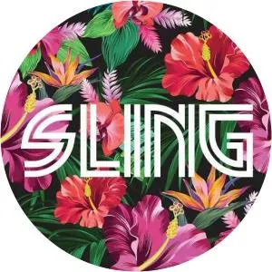 DJ SLING - Musical artist