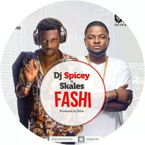 DJ Spicey - Musical artist