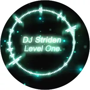 DJ Striden - Musical artist