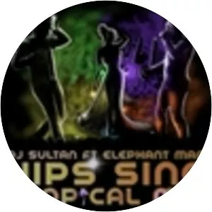 DJ Sultan - Musical artist
