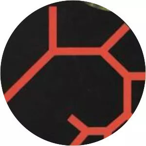 DJ Wally - Musical artist