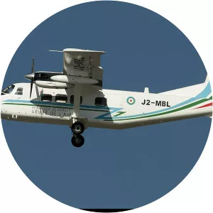 Djibouti Air Force - Armed force