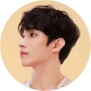 D.K. Inc. - Russian vlogger