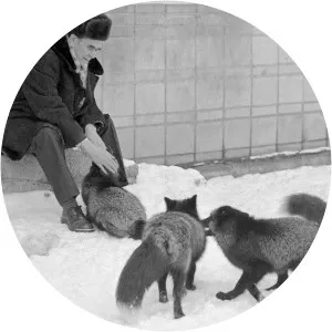 Dmitry Belyayev - Soviet geneticist