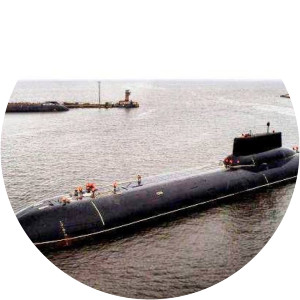 Dmitry Donskoy - Grand Prince of Moscow