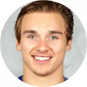 Dmytro Timashov - Swedish ice hockey player