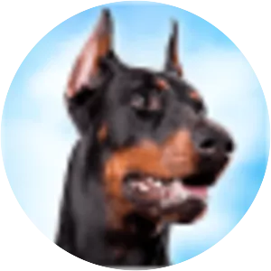 Doberman Dog Simulator - Video game