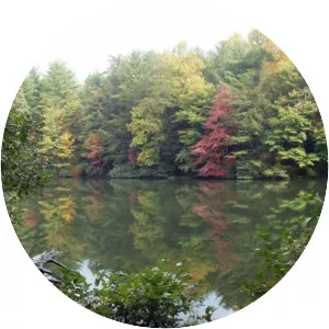 Dockery Lake Recreation Area - 